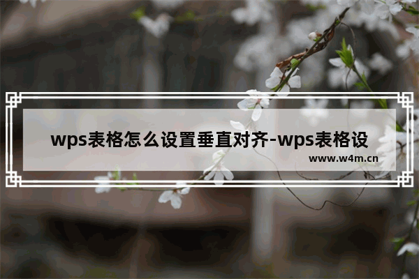 wps表格怎么设置垂直对齐-wps表格设置垂直对齐方法