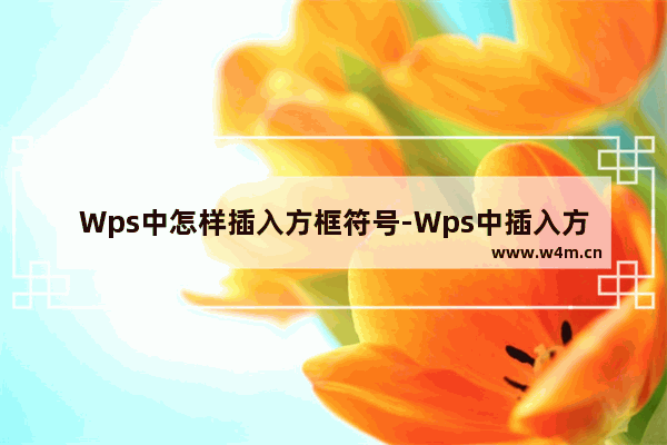 Wps中怎样插入方框符号-Wps中插入方框符号的教程