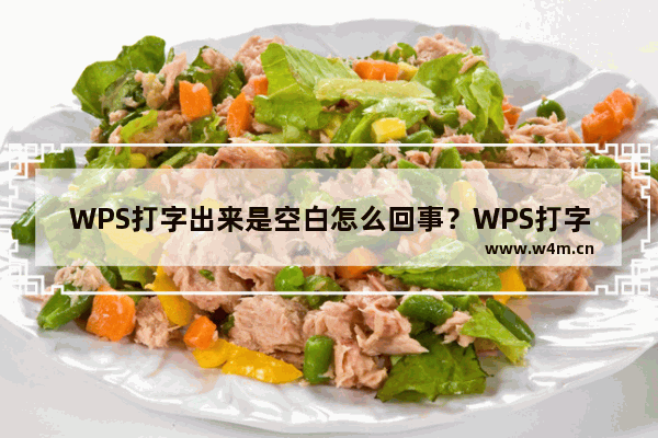 WPS打字出来是空白怎么回事？WPS打字出来是空白解决方法