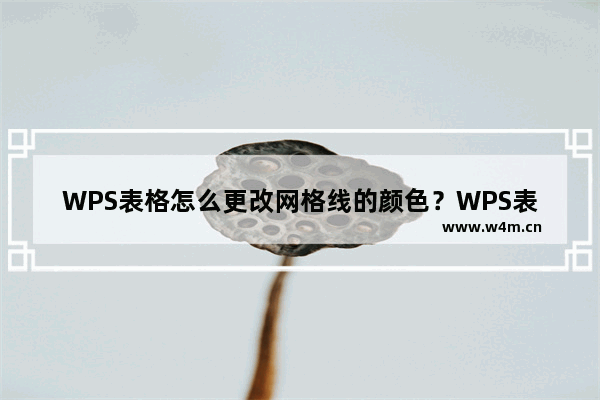 WPS表格怎么更改网格线的颜色？WPS表格网格线的颜色修改教程