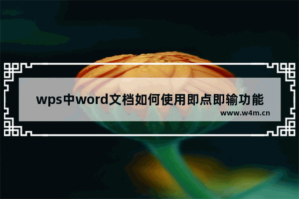 wps中word文档如何使用即点即输功能-wps中word文档即点即输功能的步骤