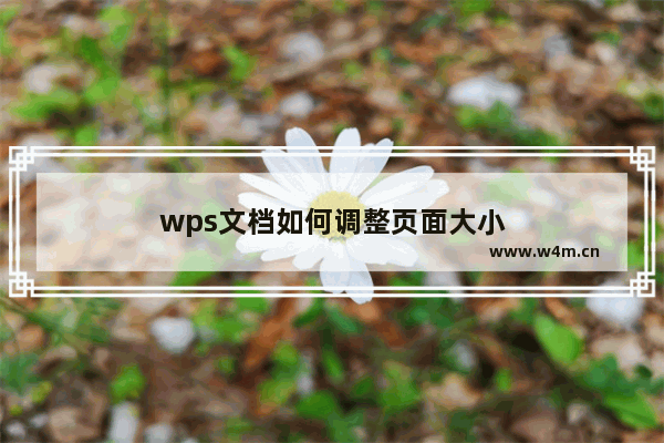 wps文档如何调整页面大小