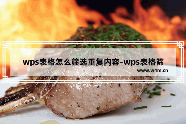 wps表格怎么筛选重复内容-wps表格筛选重复数据的教程