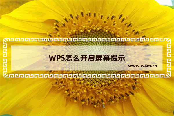 WPS怎么开启屏幕提示