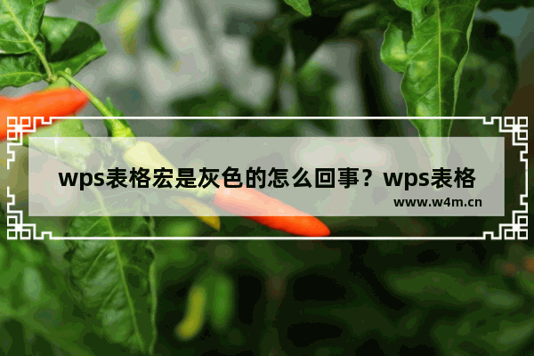 wps表格宏是灰色的怎么回事？wps表格宏按钮为灰色的解决方法