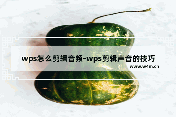 wps怎么剪辑音频-wps剪辑声音的技巧