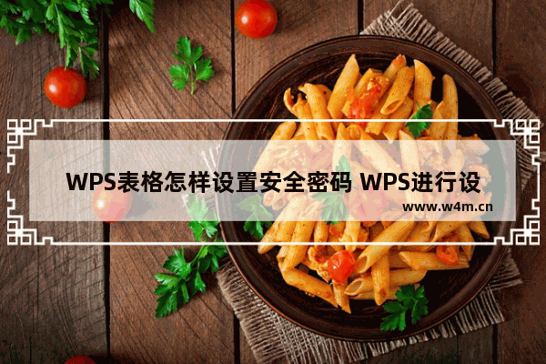 WPS表格怎样设置安全密码 WPS进行设置密码的方法