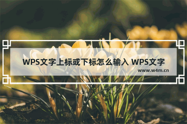 WPS文字上标或下标怎么输入 WPS文字上标或下标输入方法教学分享