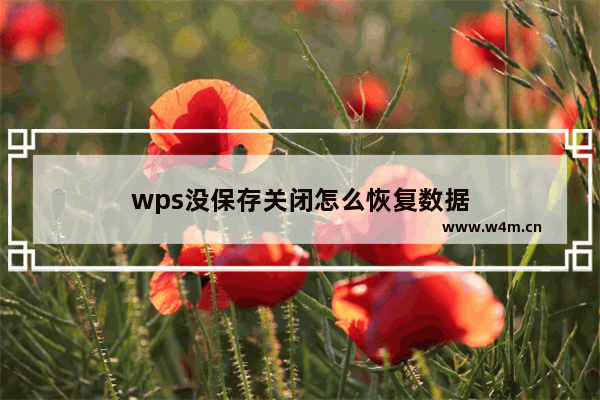 wps没保存关闭怎么恢复数据