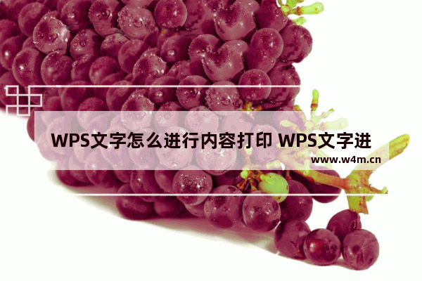 WPS文字怎么进行内容打印 WPS文字进行内容打印操作教学分享