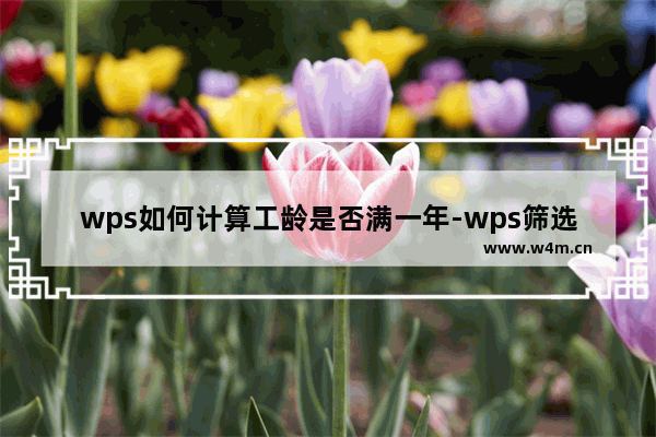 wps如何计算工龄是否满一年-wps筛选员工满工龄的技巧