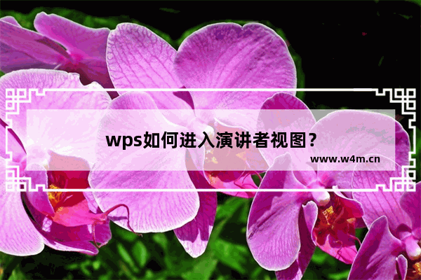 wps如何进入演讲者视图？