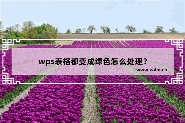 wps表格都变成绿色怎么处理？