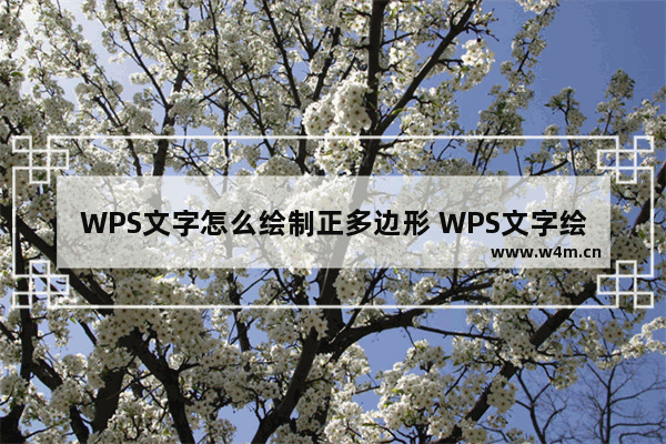 WPS文字怎么绘制正多边形 WPS文字绘制正多边形的操作方法详细教学分享