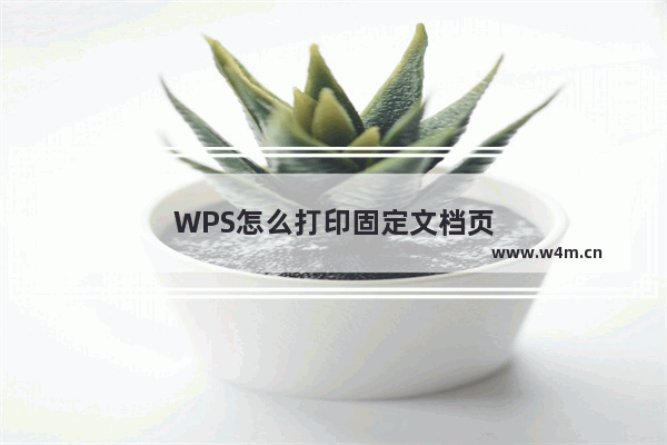 WPS怎么打印固定文档页