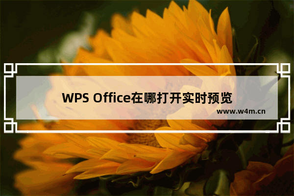 WPS Office在哪打开实时预览