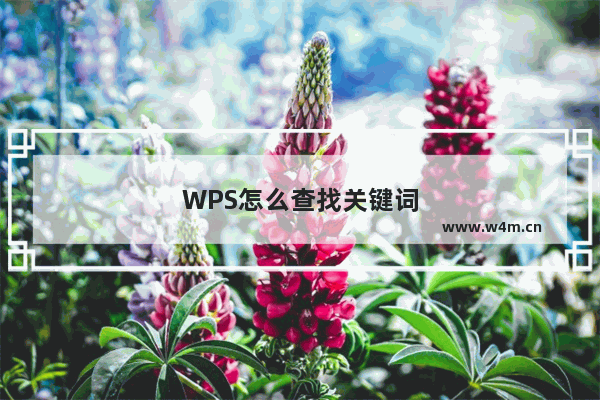 WPS怎么查找关键词