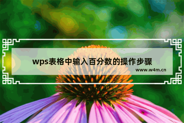 wps表格中输入百分数的操作步骤