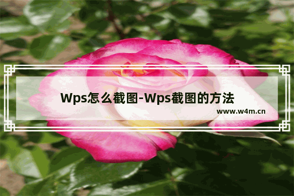 Wps怎么截图-Wps截图的方法