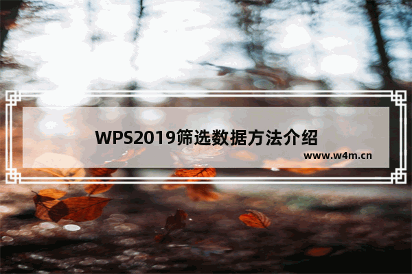 WPS2019筛选数据方法介绍