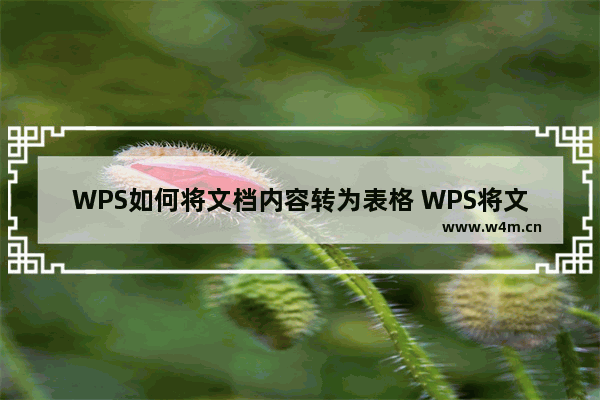 WPS如何将文档内容转为表格 WPS将文档内容转为表格的方法