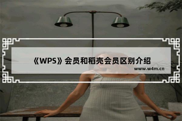 《WPS》会员和稻壳会员区别介绍