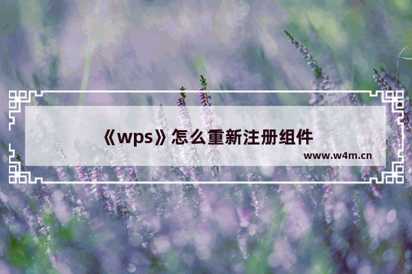 《wps》怎么重新注册组件