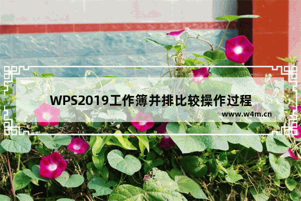 WPS2019工作簿并排比较操作过程