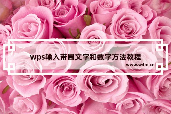 wps输入带圈文字和数字方法教程