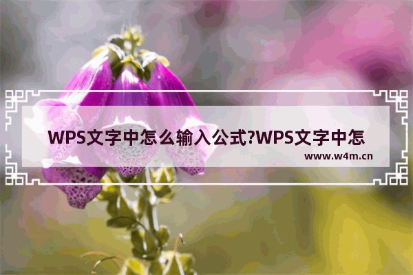 WPS文字中怎么输入公式?WPS文字中怎么输入高等数学定积分公式?