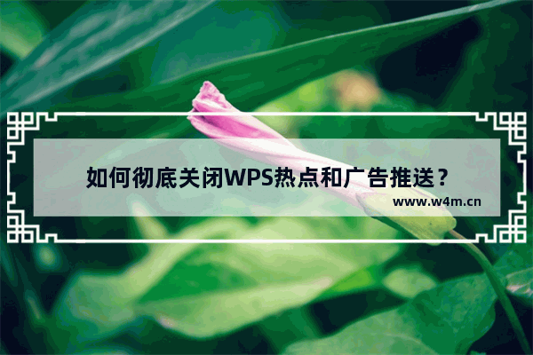 如何彻底关闭WPS热点和广告推送？