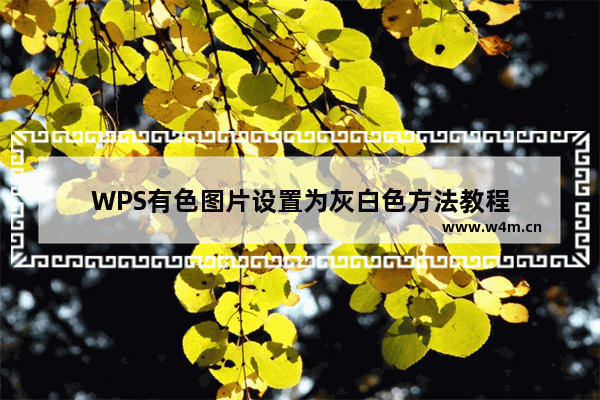 WPS有色图片设置为灰白色方法教程