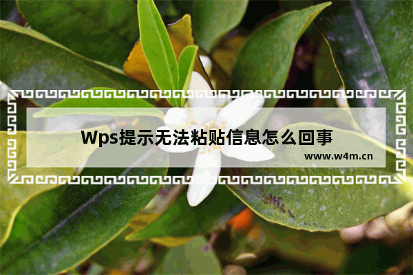 Wps提示无法粘贴信息怎么回事