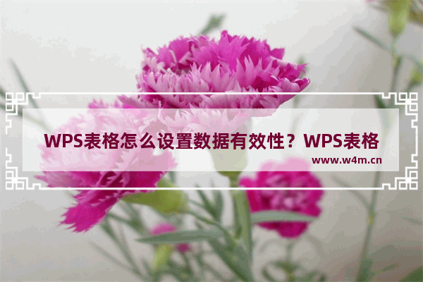 WPS表格怎么设置数据有效性？WPS表格设置数据有效性方法