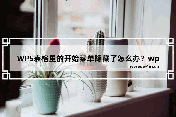 WPS表格里的开始菜单隐藏了怎么办？wps菜单栏隐藏了怎么还原？