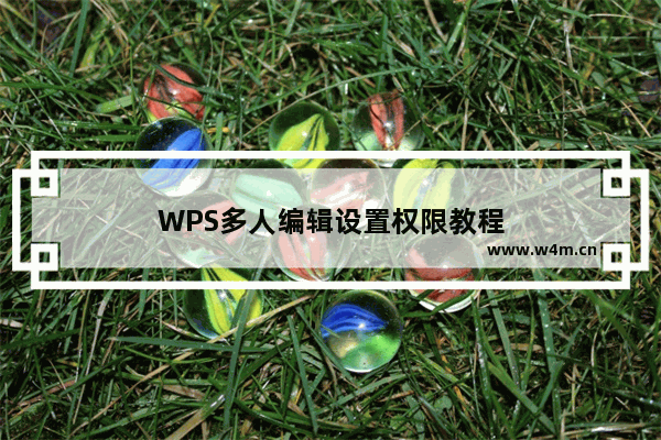 WPS多人编辑设置权限教程