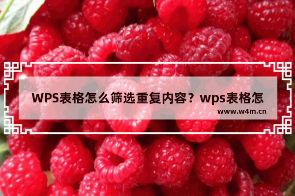 WPS表格怎么筛选重复内容？wps表格怎么筛选重复项？