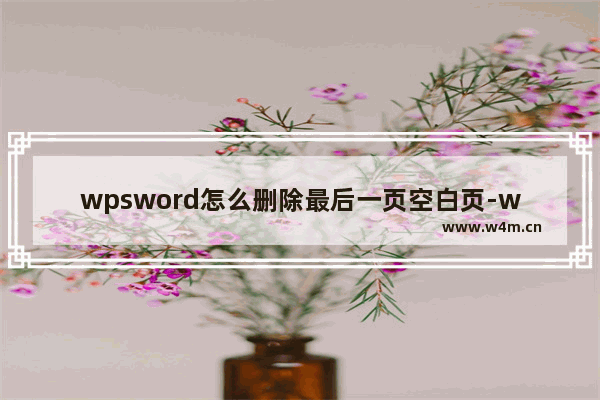 wpsword怎么删除最后一页空白页-wps文档空白页删除方法