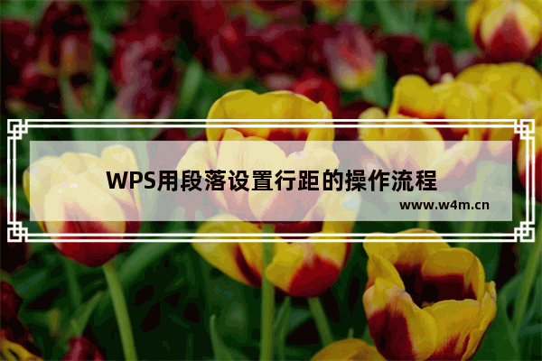 WPS用段落设置行距的操作流程