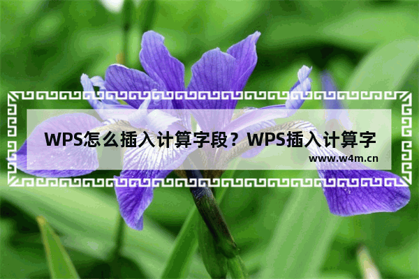 WPS怎么插入计算字段？WPS插入计算字段操作方法