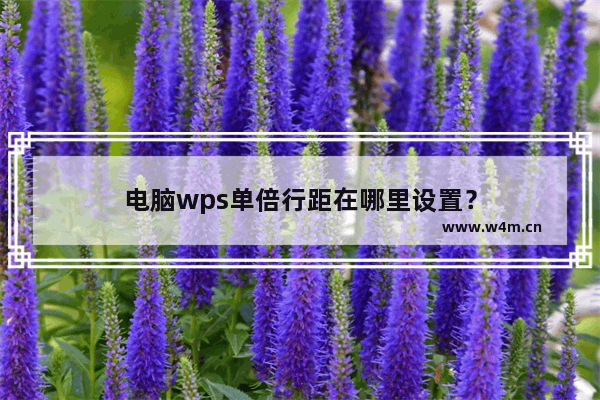 电脑wps单倍行距在哪里设置？