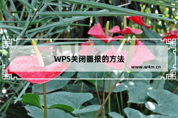 WPS关闭画报的方法