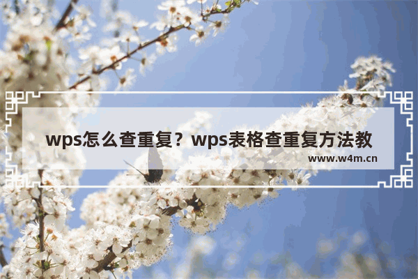 wps怎么查重复？wps表格查重复方法教程