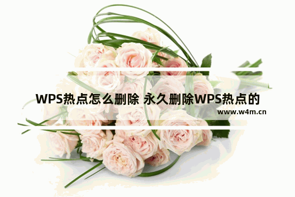 WPS热点怎么删除 永久删除WPS热点的方法