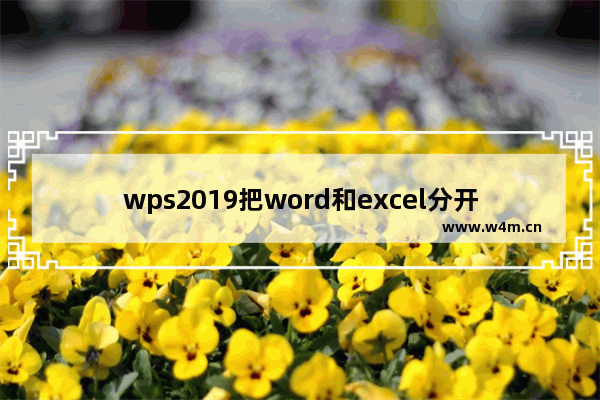 wps2019把word和excel分开的操作方法