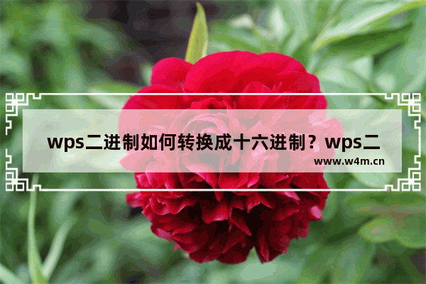 wps二进制如何转换成十六进制？wps二进制转换成十六进制教程