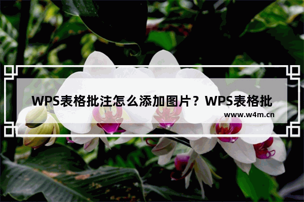 WPS表格批注怎么添加图片？WPS表格批注添加图片具体步骤