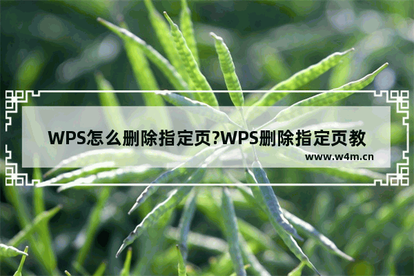 WPS怎么删除指定页?WPS删除指定页教程