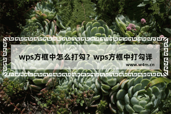 wps方框中怎么打勾？wps方框中打勾详细教程