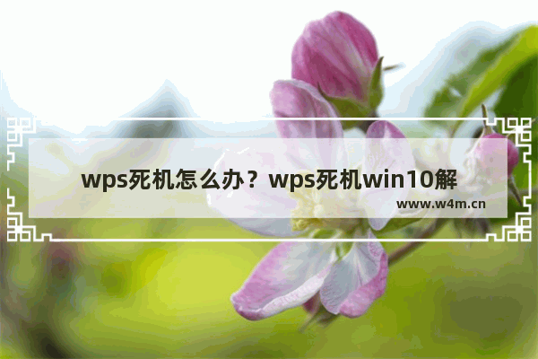 wps死机怎么办？wps死机win10解决方法分享！